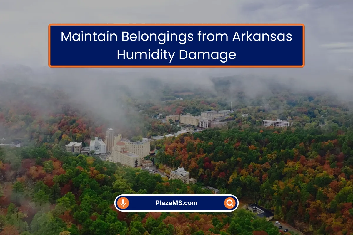 Protect Belongings from Arkansas Humidity Damage Protect Belongings from Arkansas Humidity Damage